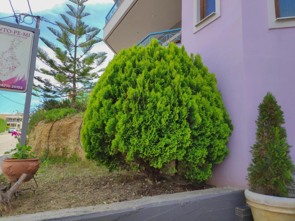 Colourful Apartments Argostoli (Kefalonia) Exterior foto